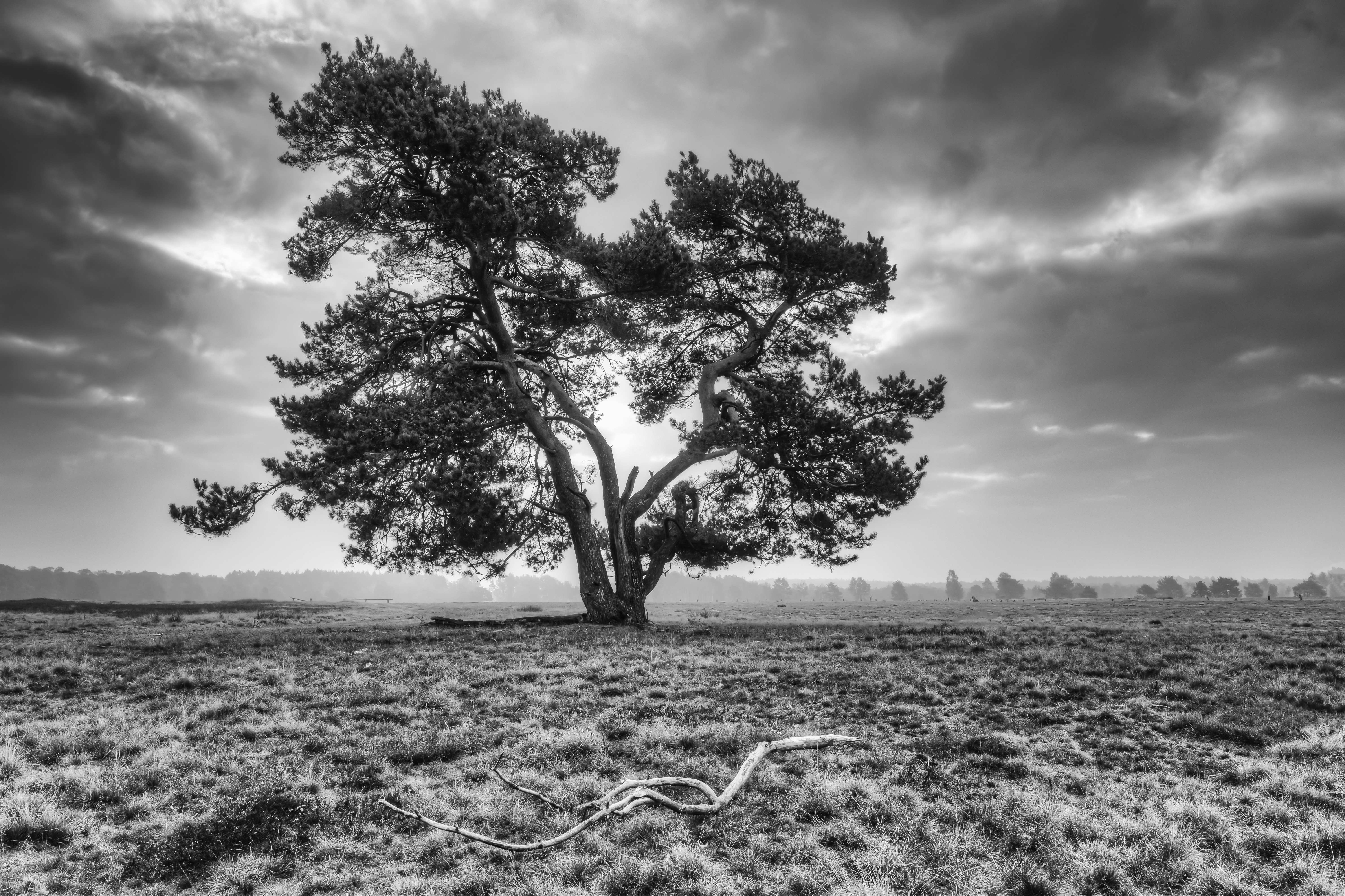 20181021 DSC 6795 6 7 Bearbeitet Bearbeitet