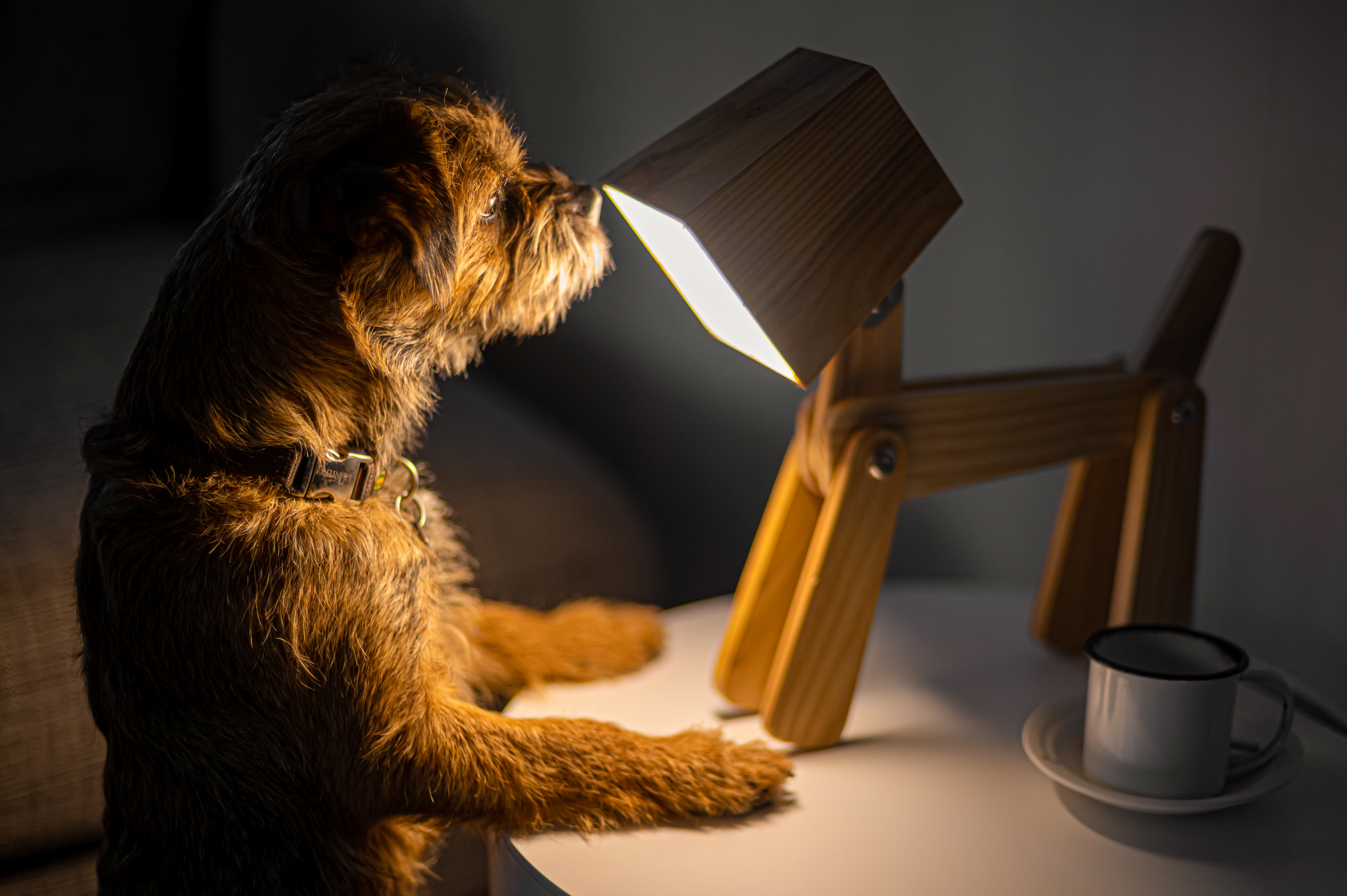 20200310  JJ64007 Bearbeitet 2