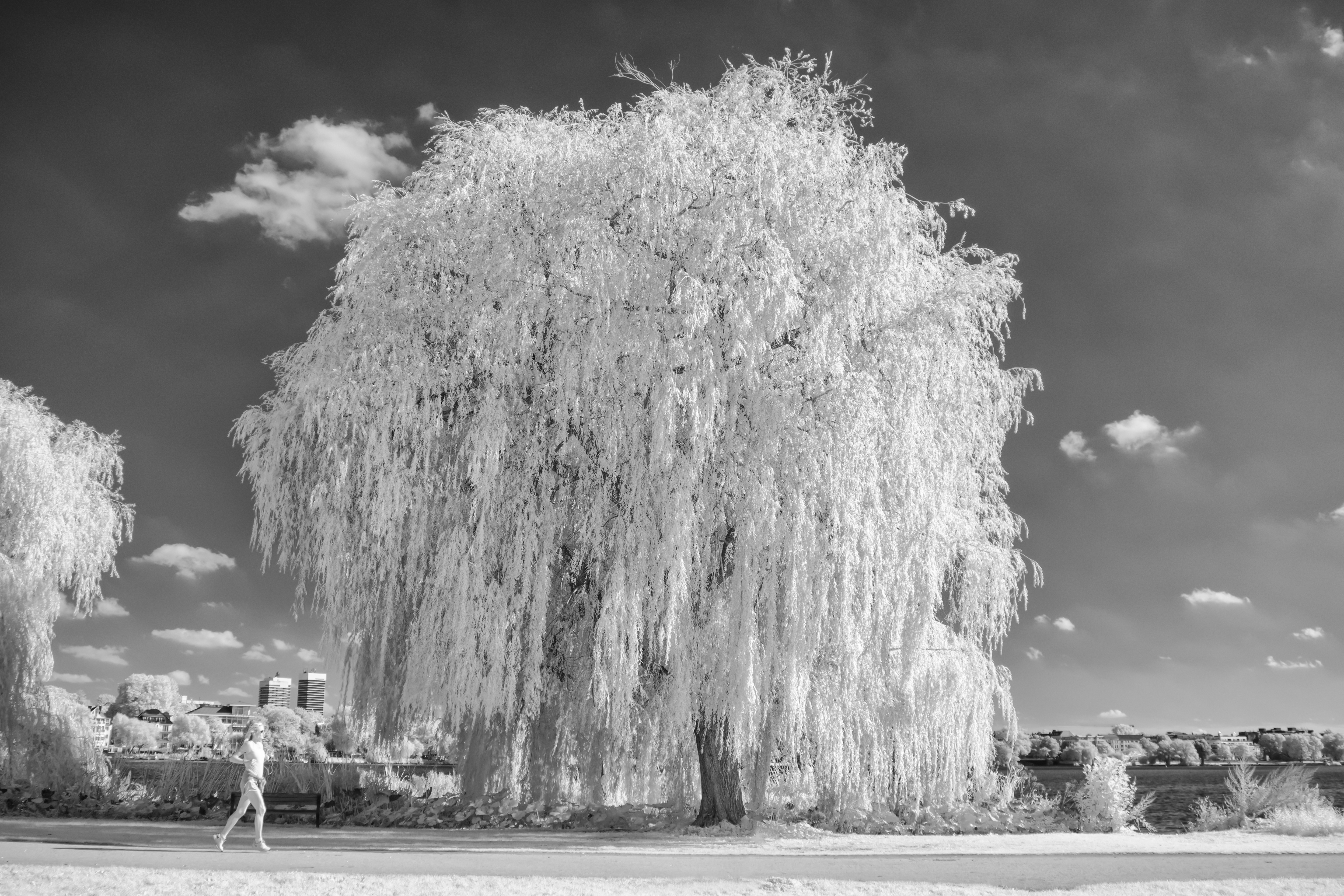 20200929 DSC 0097 Bearbeitet Bearbeitet