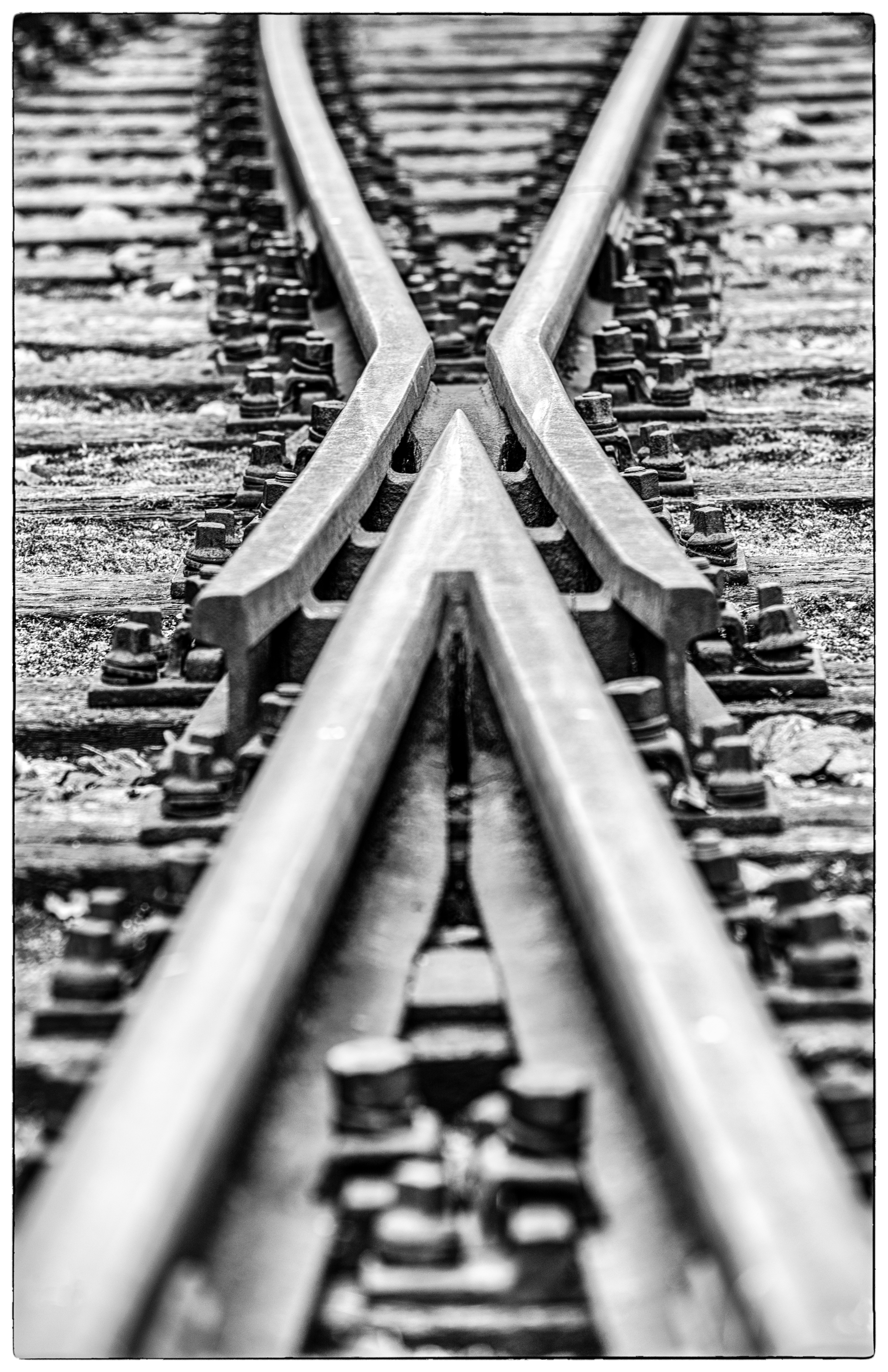 20230409 DSC 2859 Bearbeitet Bearbeitet