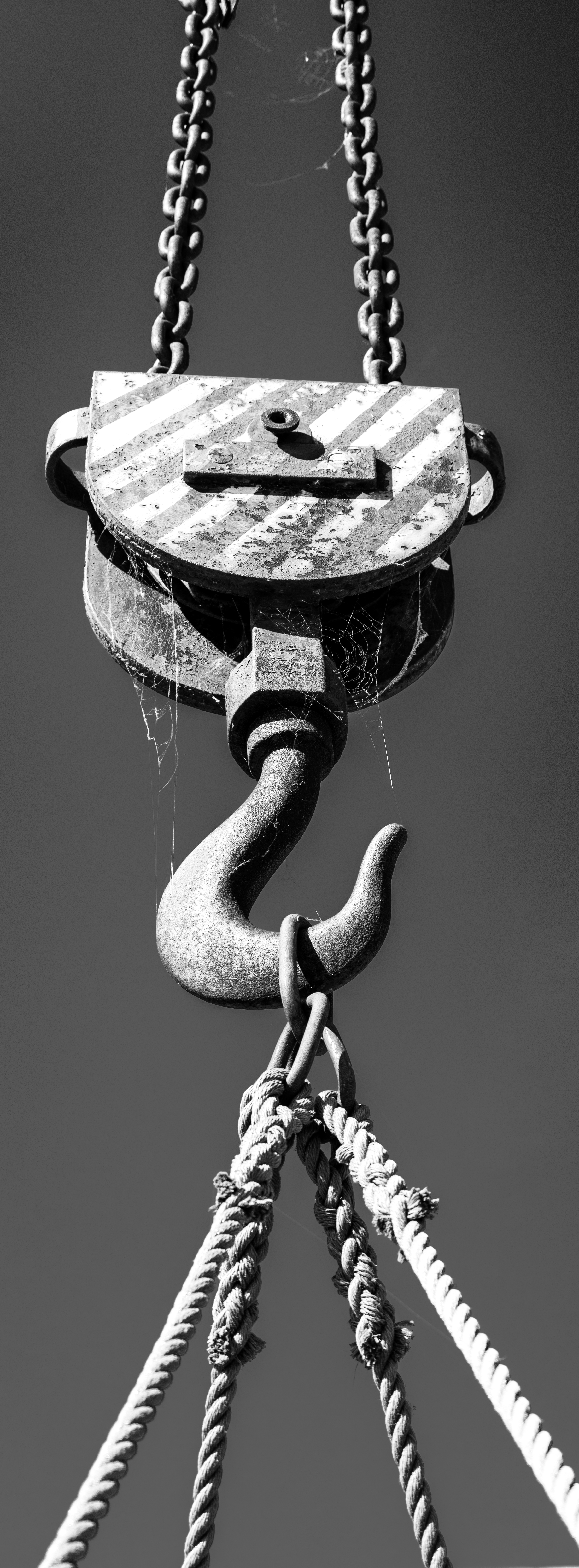 20240430 DSCF0069 Bearbeitet