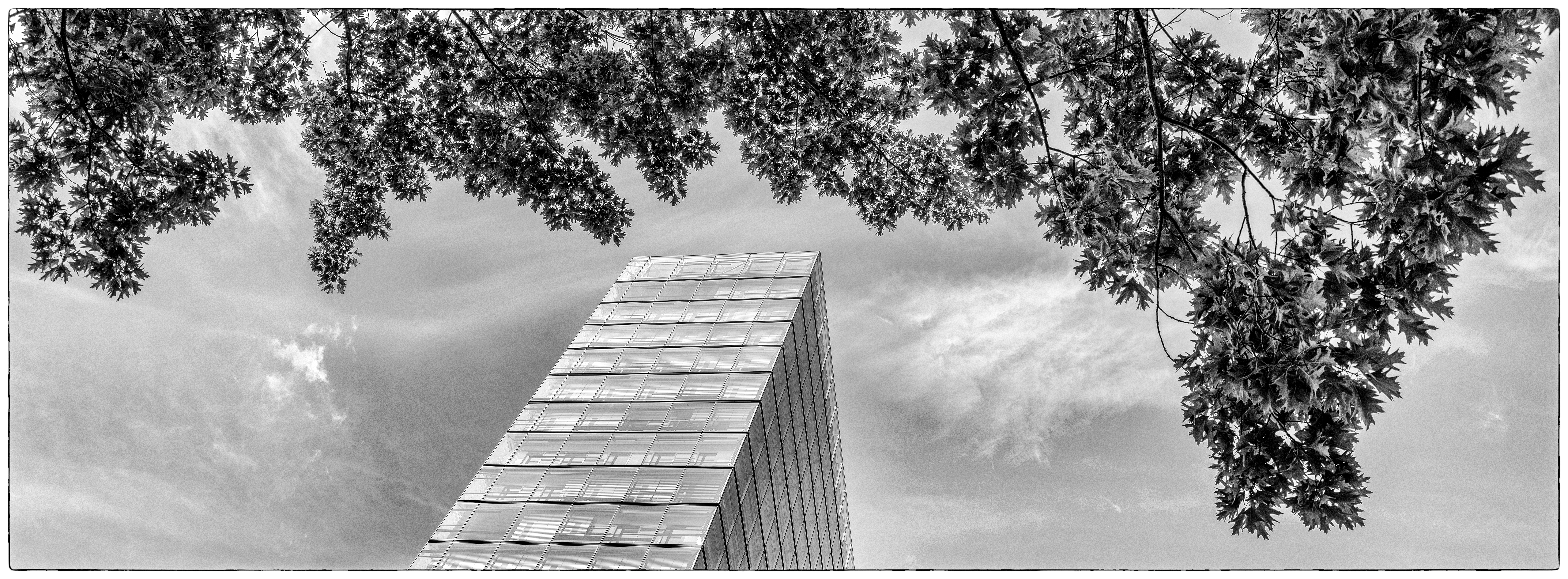 20240525 DSCF0411 Bearbeitet 3