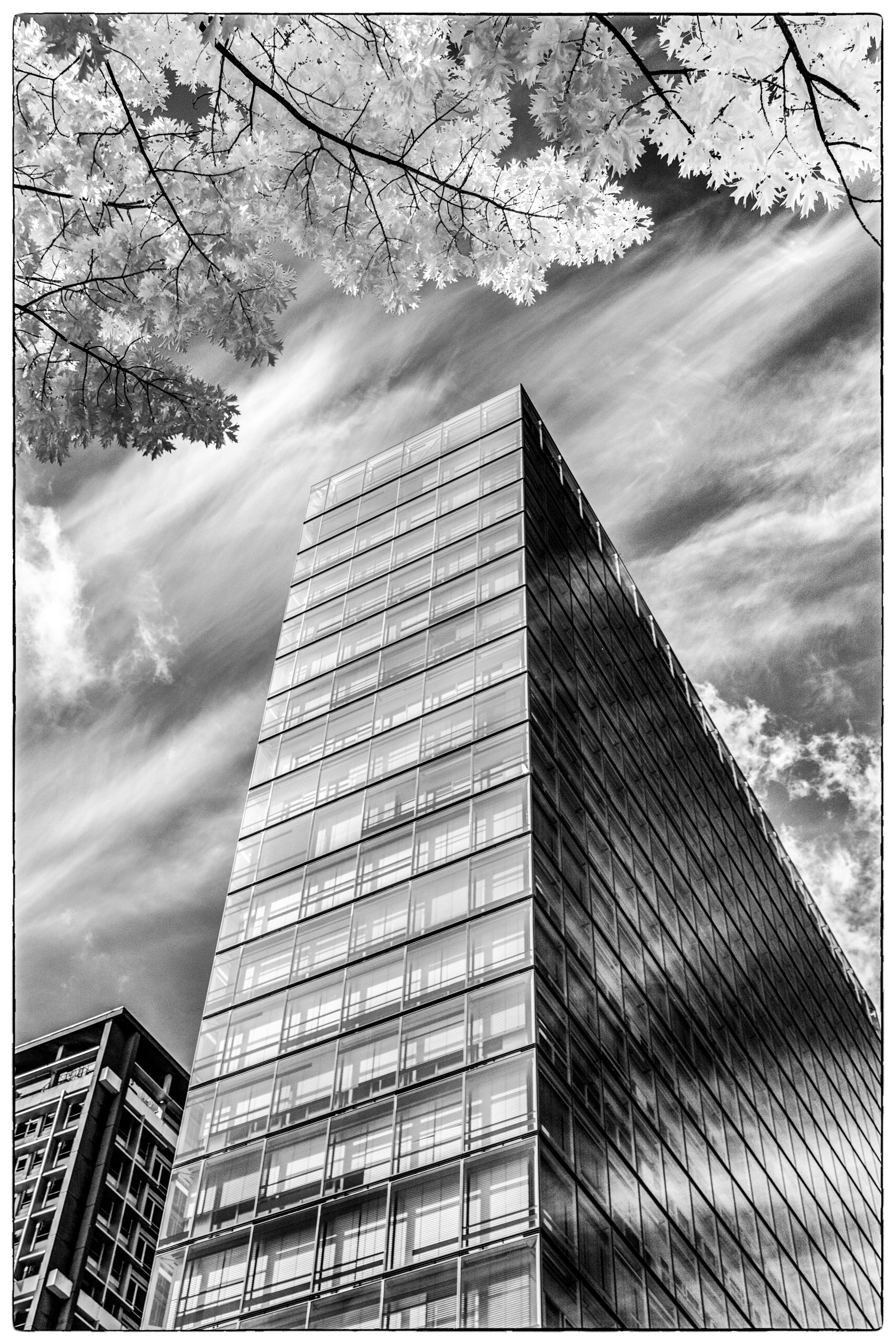 20240527 DSC 0021 Bearbeitet